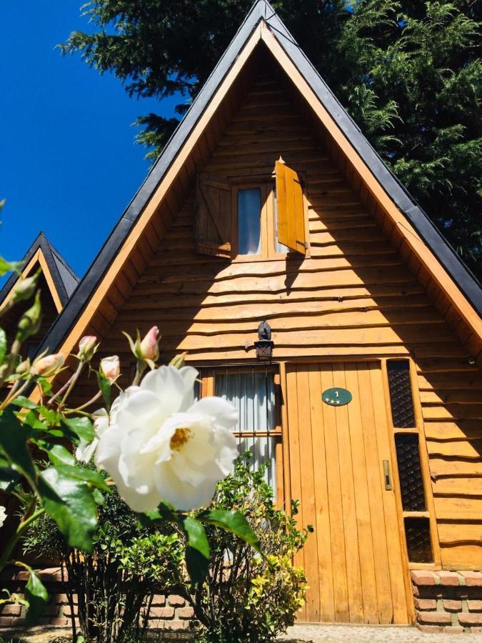 Cabanas Chapelco Сан-Мартин-де-лос-Андес Экстерьер фото